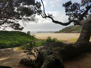 Beautiful Beaches