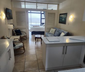 unit 16 newocean view